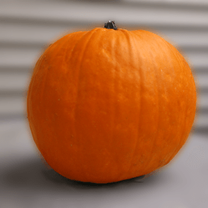 pumpkin