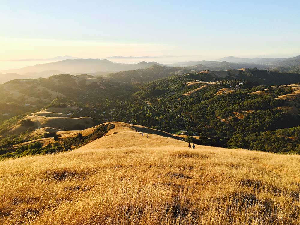 san anselmo hills2